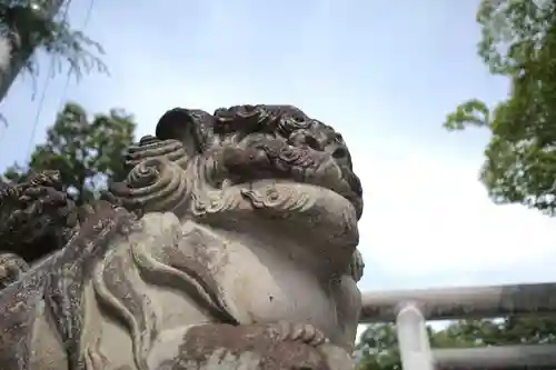 安積國造神社の狛犬