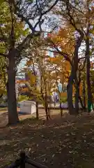 手稲神社(北海道)