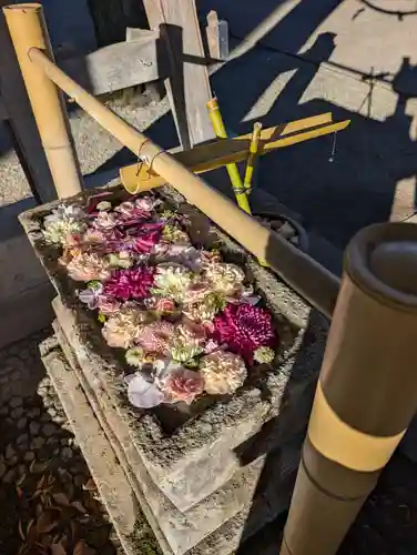 相模原氷川神社(神奈川県)