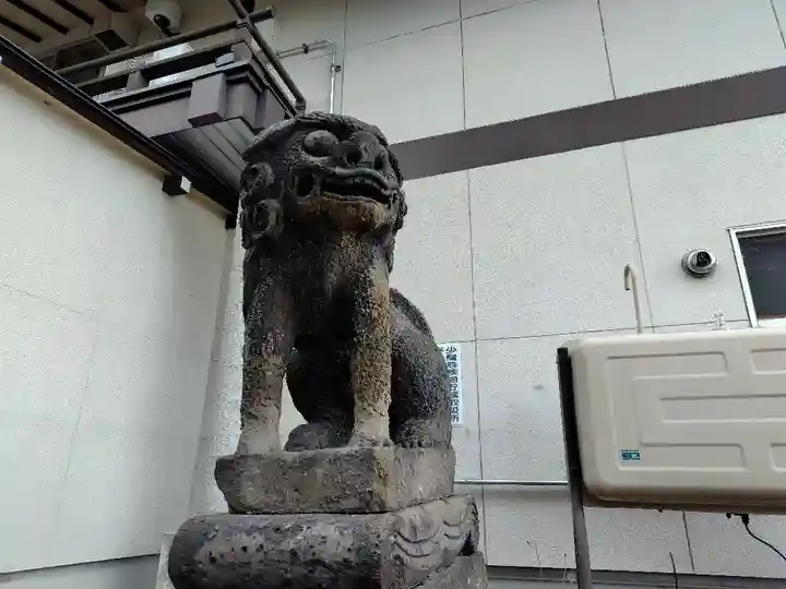 北見神社の狛犬