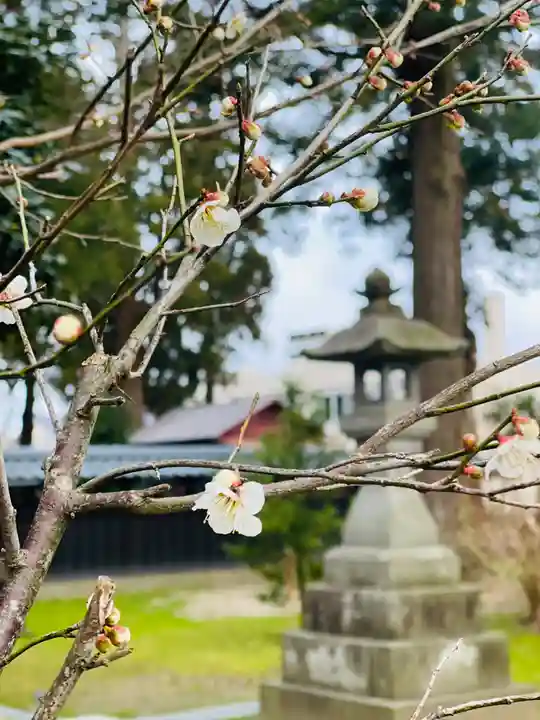 守りの神 藤基神社の庭園