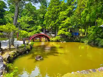 金剛證寺の庭園