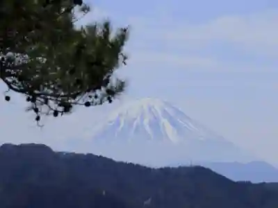 金櫻神社の{uncategorized: "未分類", other: "その他", undefined: "問題あり", building: "その他建物", grave: "お墓", sacred_gate: "鳥居", guardian: "狛犬", statue: "像", buddha: "仏像", history: "歴史", nature: "自然", garden: "庭園", animal: "動物", pagoda: "塔", temizu: "手水舎", mountain_gate: "山門・神門", sanctuary: "本殿・本堂", subordinate: "末社・摂社", art: "芸術", scenery: "景色", jizo: "地蔵", ema: "絵馬", goshuin: "御朱印", omikuji: "おみくじ", items: "授与品その他", amulet: "お守り", goshuincho: "御朱印帳", eats: "食事", festival: "お祭り", votive_dance: "神楽", shichigosan: "七五三参", wedding: "結婚式", experience: "体験その他", initially: "初詣", around: "周辺", anti_infection: "感染症対策"}