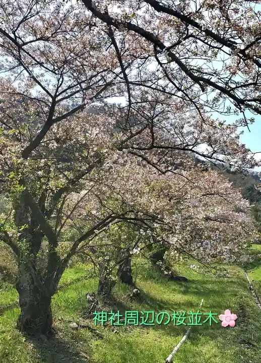 高司神社〜むすびの神の鎮まる社〜(福島県)
