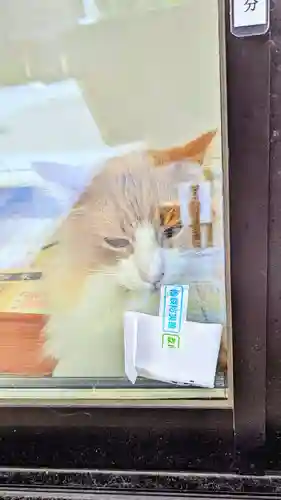 駒込妙義神社の動物