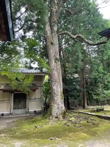 野田神社(山口県)