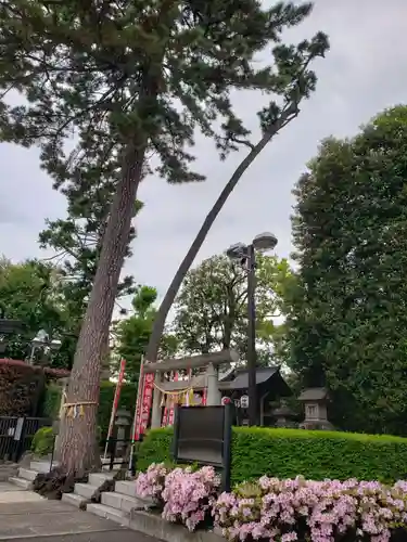 中野沼袋氷川神社(東京都)