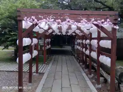 駒形神社の{uncategorized: "未分類", other: "その他", undefined: "問題あり", building: "その他建物", grave: "お墓", sacred_gate: "鳥居", guardian: "狛犬", statue: "像", buddha: "仏像", history: "歴史", nature: "自然", garden: "庭園", animal: "動物", pagoda: "塔", temizu: "手水舎", mountain_gate: "山門・神門", sanctuary: "本殿・本堂", subordinate: "末社・摂社", art: "芸術", scenery: "景色", jizo: "地蔵", ema: "絵馬", goshuin: "御朱印", omikuji: "おみくじ", items: "授与品その他", amulet: "お守り", goshuincho: "御朱印帳", eats: "食事", festival: "お祭り", votive_dance: "神楽", shichigosan: "七五三参", wedding: "結婚式", experience: "体験その他", initially: "初詣", around: "周辺", anti_infection: "感染症対策"}