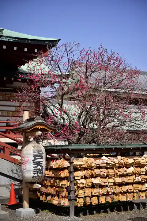 亀戸天神社(東京都)