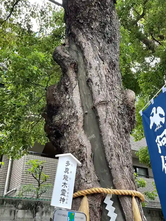 阿倍王子神社の自然