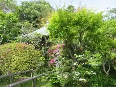 浄光明寺(神奈川県)