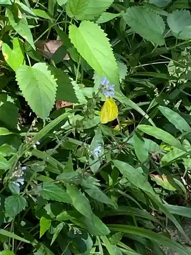 石上布都魂神社(岡山県)