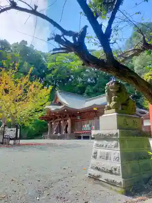 金刀比羅神社の狛犬