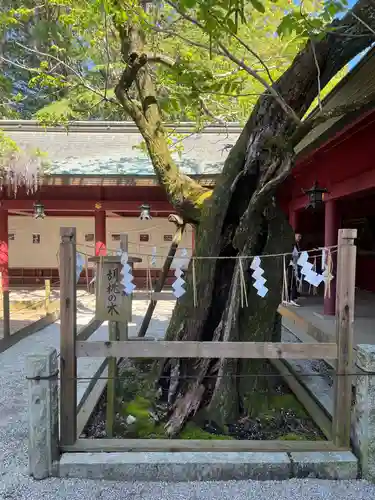笠間稲荷神社(茨城県)