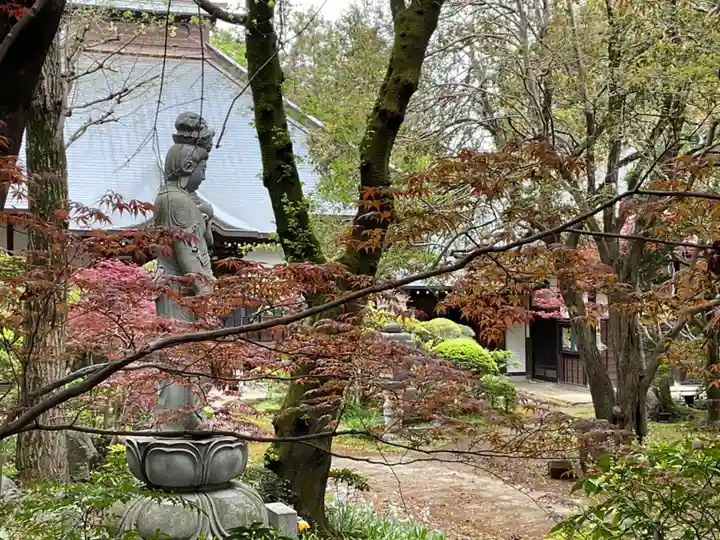 養樹院(圓通庵)(東京都)