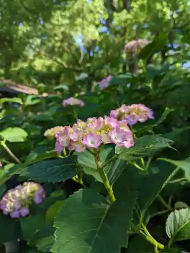 藤森神社(京都府)