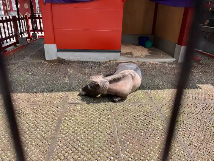 神田神社(神田明神)(東京都)