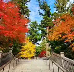 尊永寺の景色