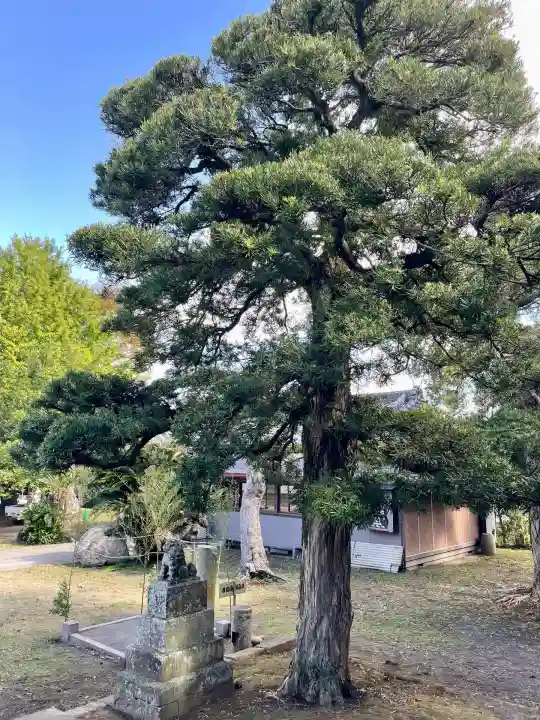 館山神社(千葉県)