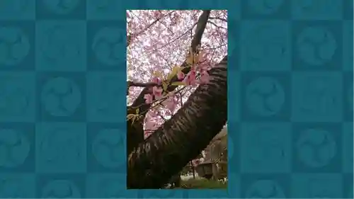 密藏院(埼玉県)