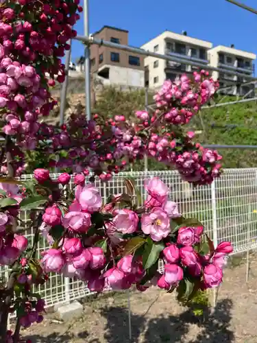 龍宮神社(北海道)