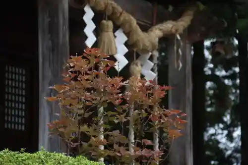 豊景神社の自然