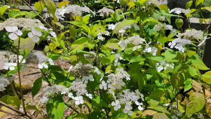 惣河内神社(愛媛県)