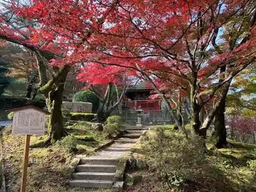 園城寺（三井寺）の庭園