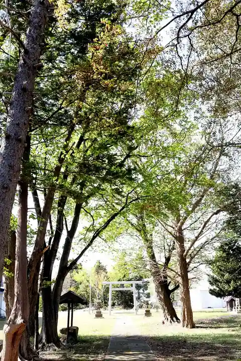 上美唄神社(北海道)