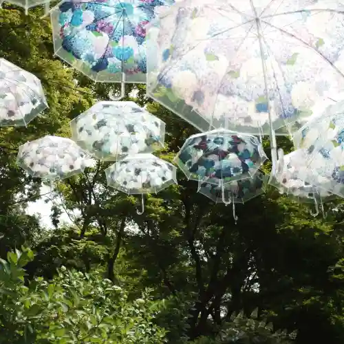 柳谷観音　楊谷寺(京都府)