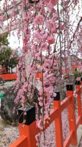 車折神社(京都府)