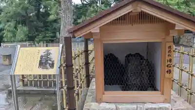 氣比神宮(福井県)