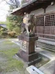 穴師坐兵主神社の狛犬