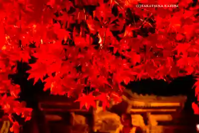 大山寺(神奈川県)