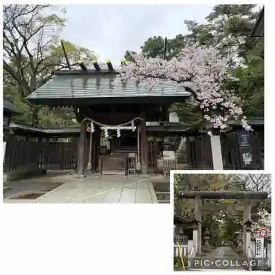 意富比神社の{uncategorized: "未分類", other: "その他", undefined: "問題あり", building: "その他建物", grave: "お墓", sacred_gate: "鳥居", guardian: "狛犬", statue: "像", buddha: "仏像", history: "歴史", nature: "自然", garden: "庭園", animal: "動物", pagoda: "塔", temizu: "手水舎", mountain_gate: "山門・神門", sanctuary: "本殿・本堂", subordinate: "末社・摂社", art: "芸術", scenery: "景色", jizo: "地蔵", ema: "絵馬", goshuin: "御朱印", omikuji: "おみくじ", items: "授与品その他", amulet: "お守り", goshuincho: "御朱印帳", eats: "食事", festival: "お祭り", votive_dance: "神楽", shichigosan: "七五三参", wedding: "結婚式", experience: "体験その他", initially: "初詣", around: "周辺", anti_infection: "感染症対策"}