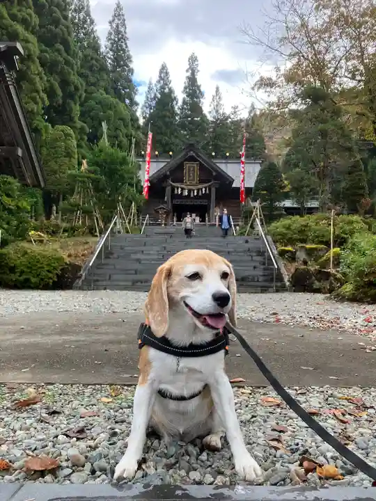 八海山尊神社の動物