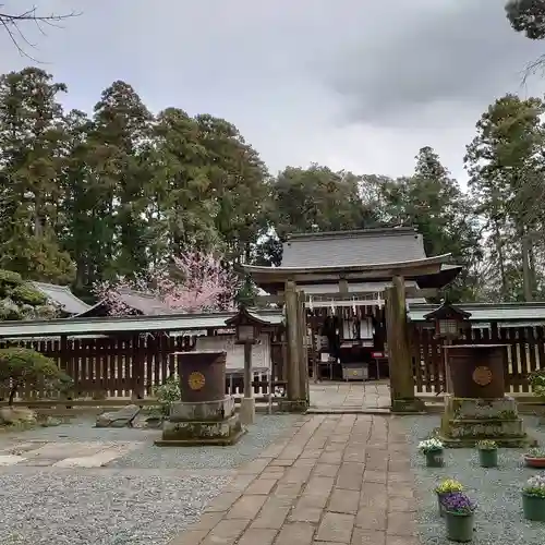 小御門神社の鳥居