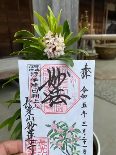 妙蓮寺(神奈川県)