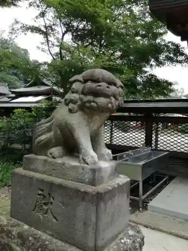 須賀神社の狛犬