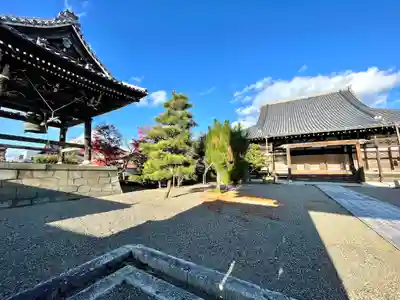 善照寺(滋賀県)