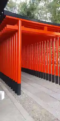 三光稲荷神社の鳥居