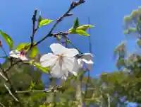 彦嶽宮(熊本県)