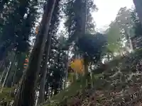 大宮温泉神社(栃木県)