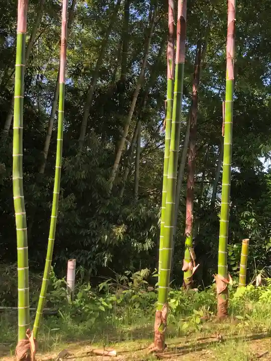 白山神社(福井県)