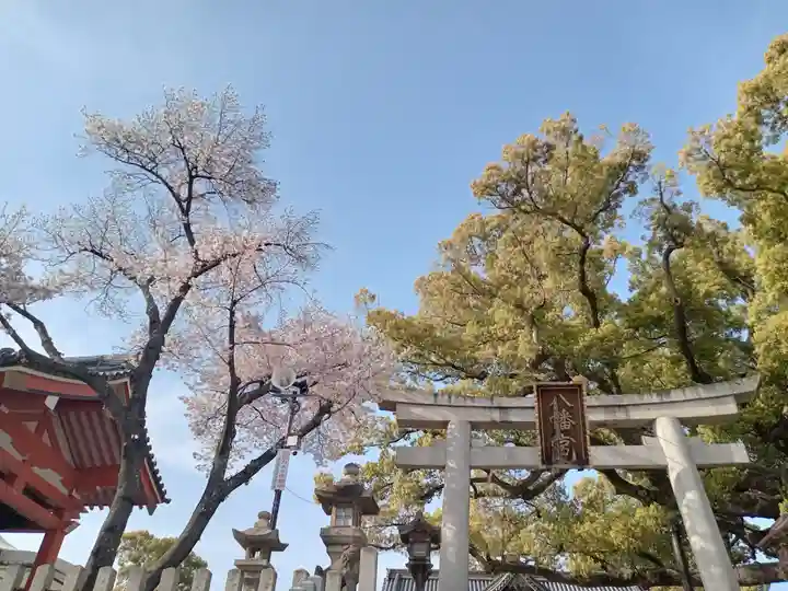 百舌鳥八幡宮の鳥居