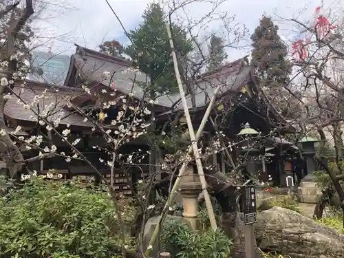 愛宕神社の庭園