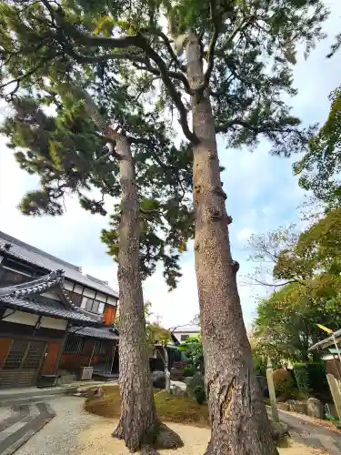 照源寺(三重県)