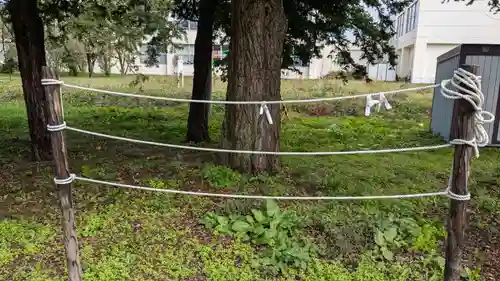東中神社のおみくじ