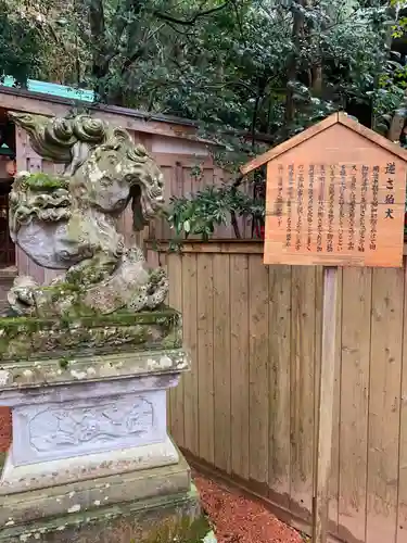 廣坂稲荷神社の狛犬