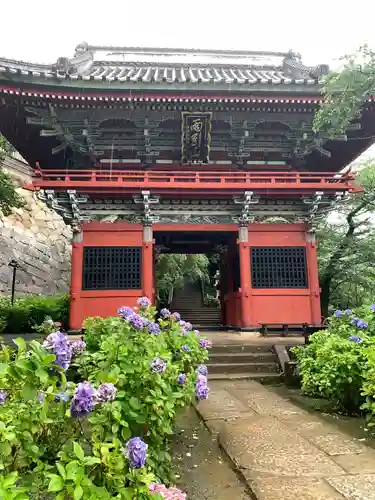 楽法寺（雨引観音）の山門